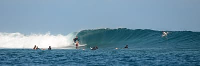 e DSC_0603.jpg