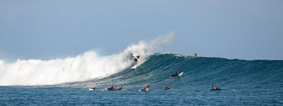 e DSC_0796.jpg