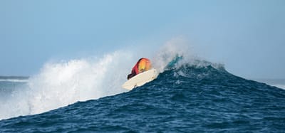 e DSC_0990.jpg