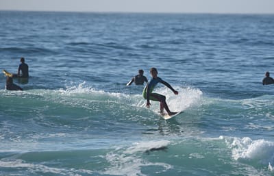 e DSC_1137.jpg