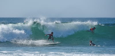e DSC_1663.jpg