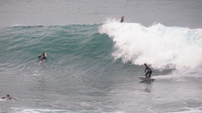 e DSC_2004.jpg