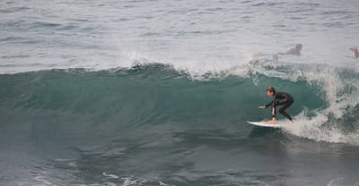 e DSC_2336.jpg
