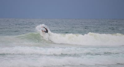 e DSC_2818.jpg