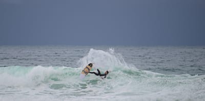 e DSC_2824.jpg