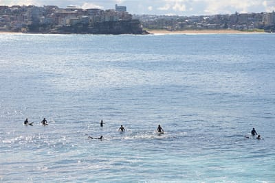 e DSC_2877.jpg
