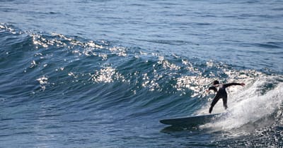 e DSC_2893.jpg