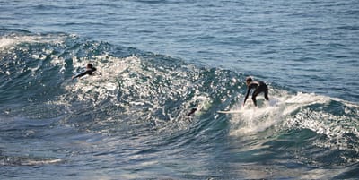 e DSC_2914.jpg