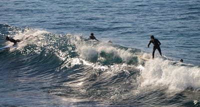 e DSC_2915.jpg