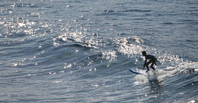 e DSC_2953.jpg