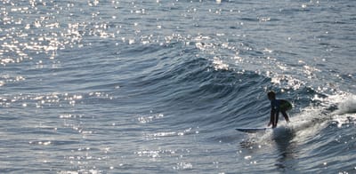 e DSC_2954.jpg