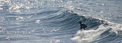 e DSC_2955.jpg