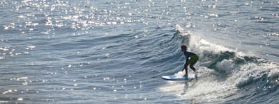 e DSC_2956.jpg