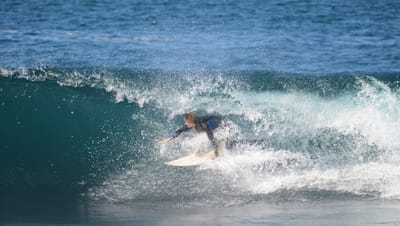 e DSC_3121.jpg