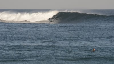 DSC_2731.MOV