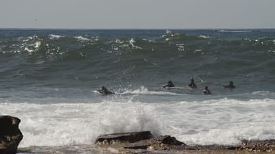 DSC_7786.MOV