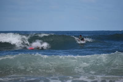 e DSC_0410.jpg