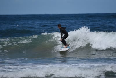 e DSC_0501.jpg