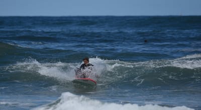 e DSC_0525.jpg