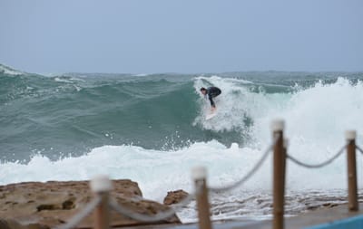 e DSC_1866.jpg