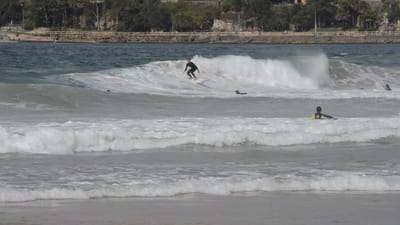 DSC_2759.MOV