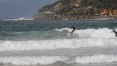 DSC_2760.MOV