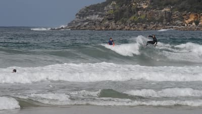 DSC_2769.MOV