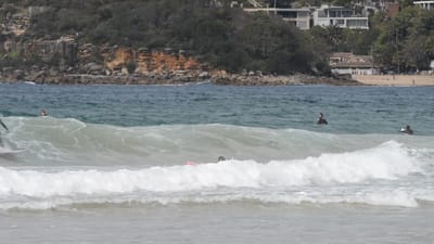 DSC_2775.MOV