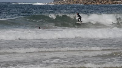 DSC_2780.MOV