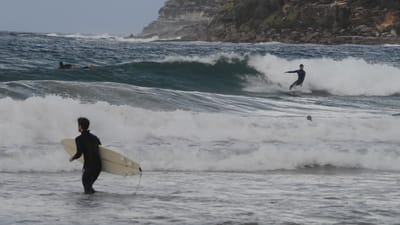 DSC_2800.MOV