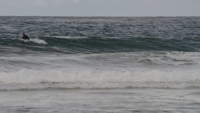 DSC_2802.MOV
