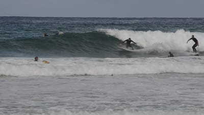 DSC_2807.MOV
