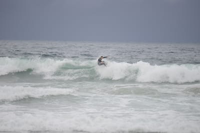 DSC_2815.JPG