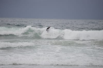 DSC_2816.JPG