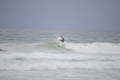DSC_2817.JPG