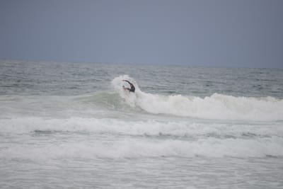 DSC_2818.JPG