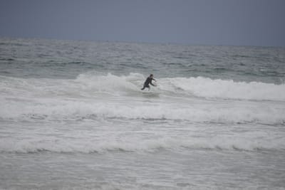 DSC_2820.JPG