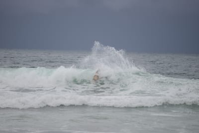 DSC_2825.JPG