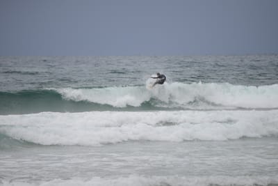 DSC_2826.JPG