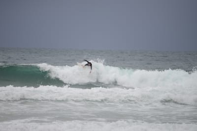 DSC_2831.JPG