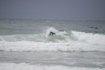 DSC_2832.JPG