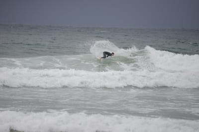 DSC_2833.JPG