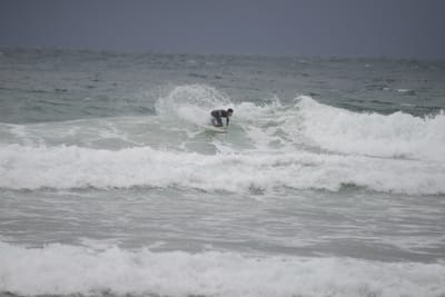 DSC_2834.JPG