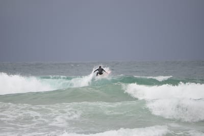 DSC_2835.JPG