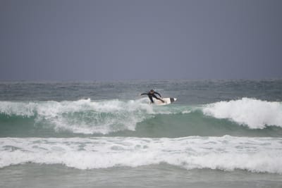 DSC_2837.JPG