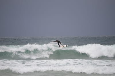 DSC_2838.JPG