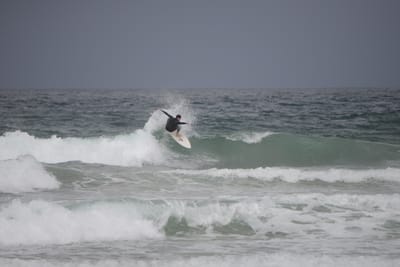 DSC_2846.JPG