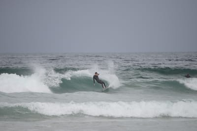 DSC_2855.JPG