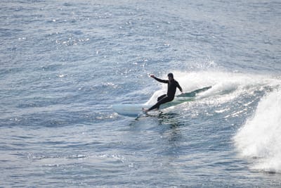 DSC_2861.JPG