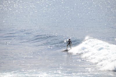 DSC_2865.JPG